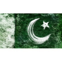 Snuggle Buddy Plushidddde | Ultimate Soft Home Comfort