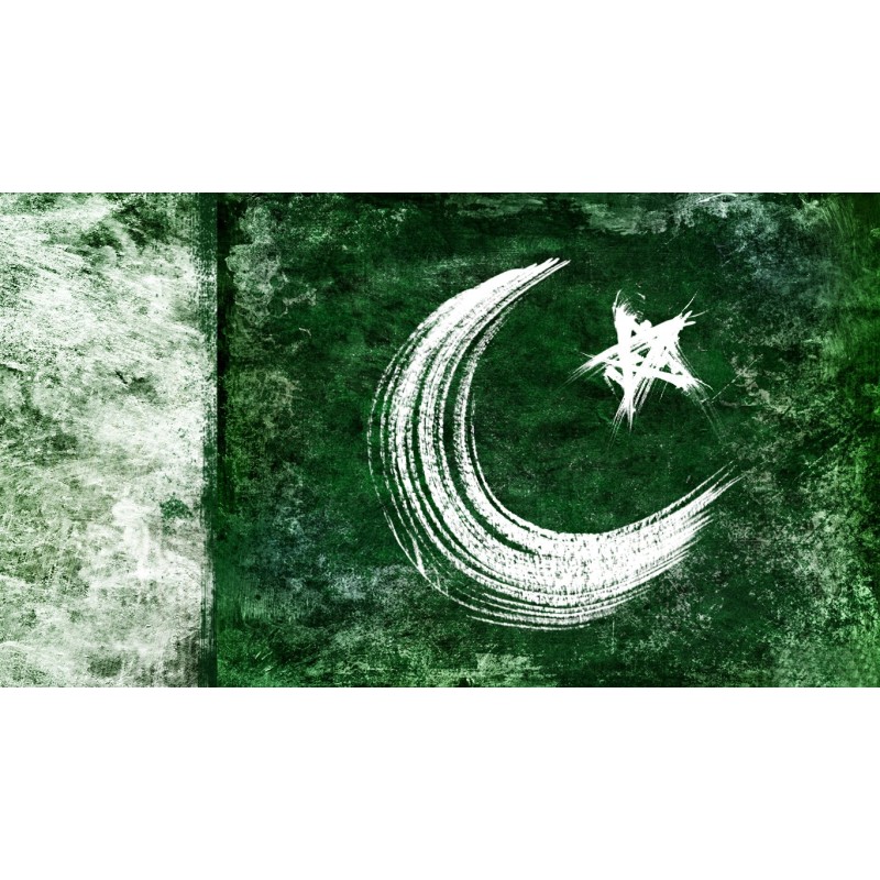 Snuggle Buddy Plushidddde | Ultimate Soft Home Comfort